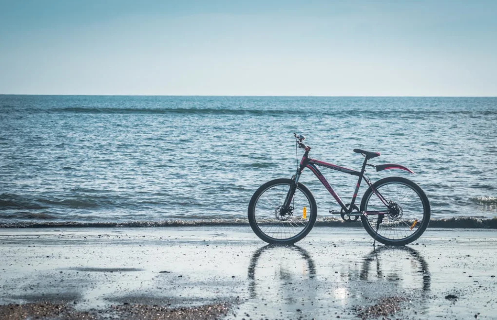 Coogee e-bike crackdown