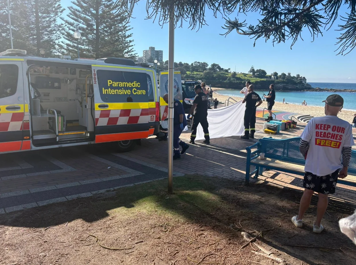 Coogee shark bite